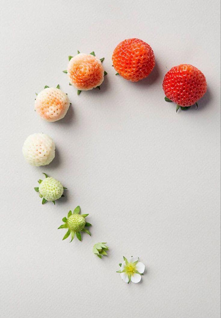 Rustic Harvest: Berries of Countryside Essence