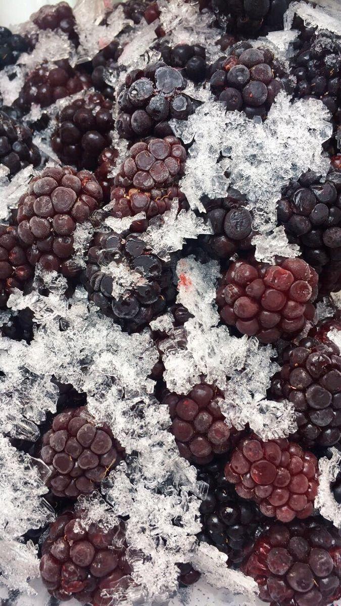 Farm-to-Table Berry Medley Fusion